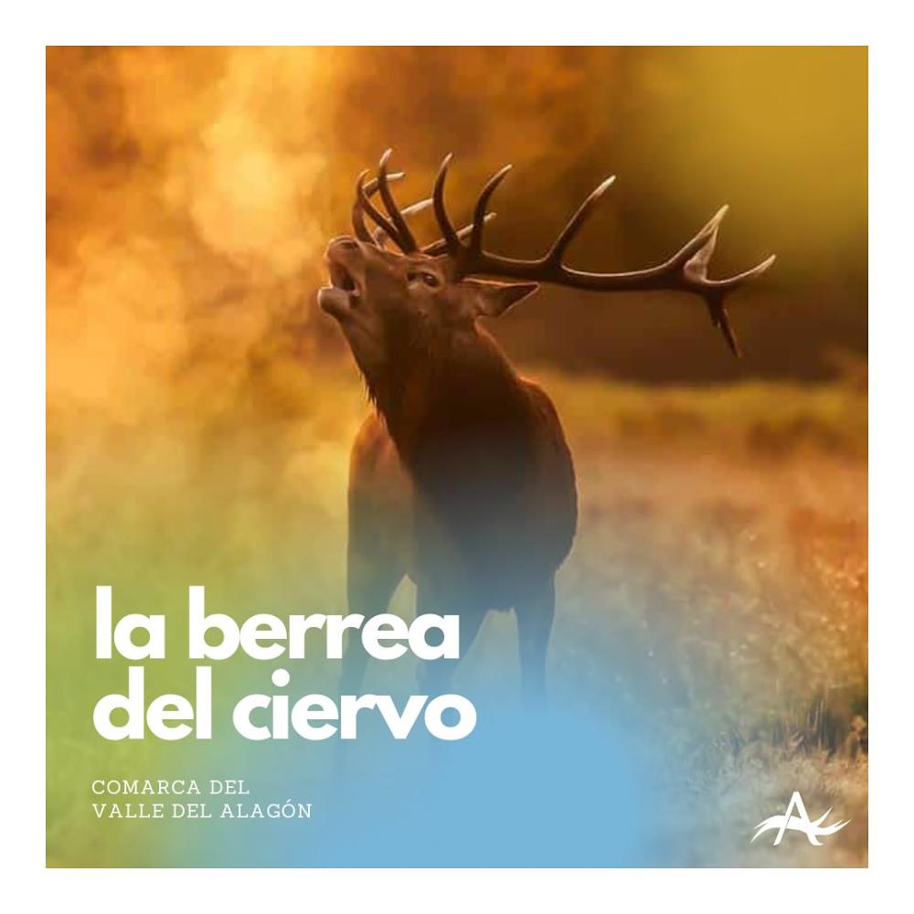 Imagen LA BERREA DEL CIERVO